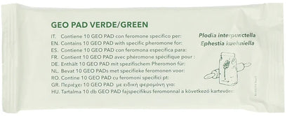 Geo Lijmplaat Levensmiddelenmot (Ephestia/Plodia)